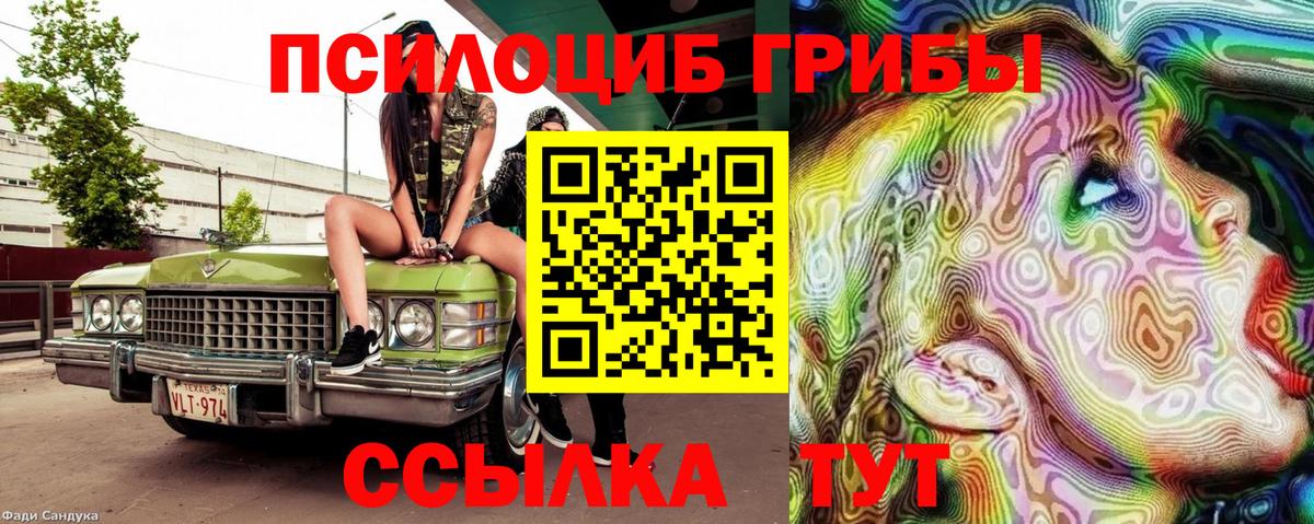 Хабаровск  Псилоцибиновые грибы Psilocybine cubensis  Вход с VPN 